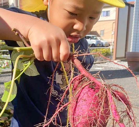 どんな保育園？